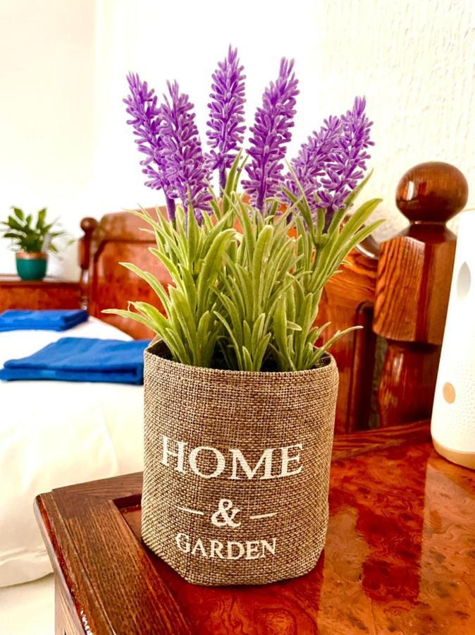 Vila Monte Hotel Budva Luaran gambar